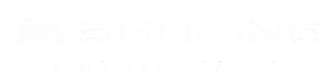 skylinelimoserviceinc.com Logo